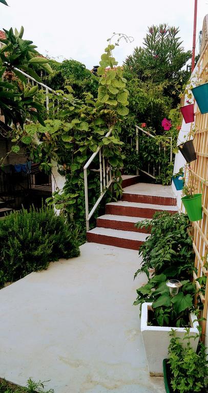 Sofia'S Way Apartments Jelsa  Εξωτερικό φωτογραφία