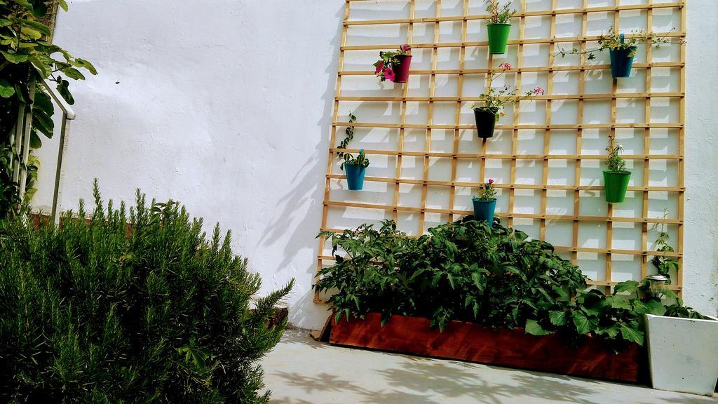 Sofia'S Way Apartments Jelsa  Εξωτερικό φωτογραφία