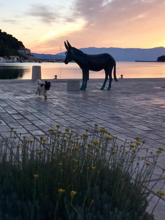 Sofia'S Way Apartments Jelsa  Εξωτερικό φωτογραφία