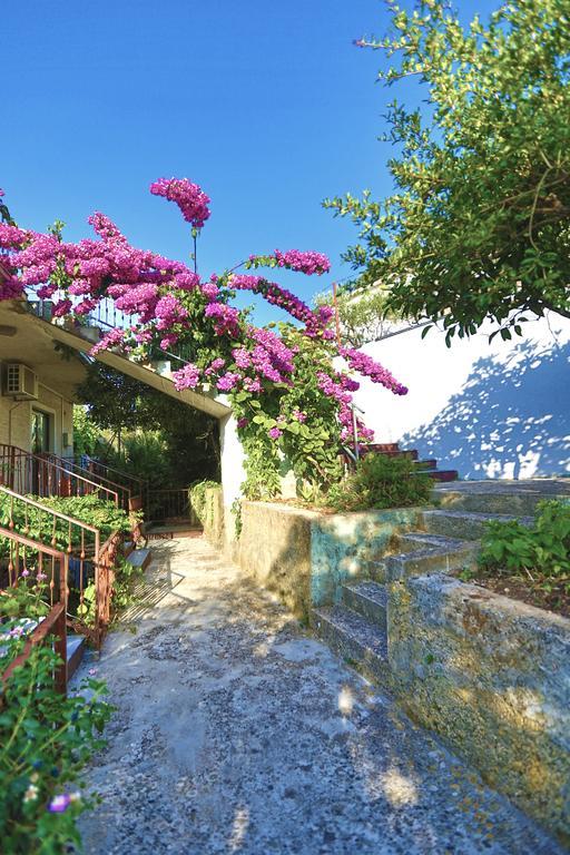 Sofia'S Way Apartments Jelsa  Εξωτερικό φωτογραφία