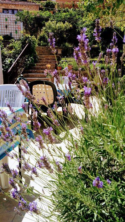 Sofia'S Way Apartments Jelsa  Εξωτερικό φωτογραφία
